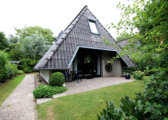 Sv2 Robbenplate 16 * 多鲁姆纽菲尔德